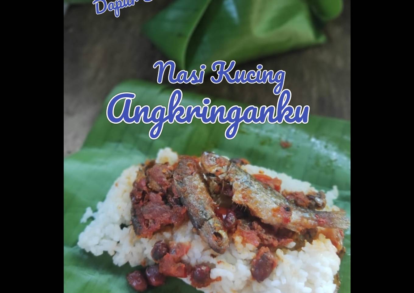 Nasi Kucing