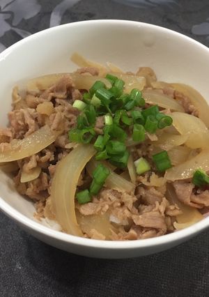 A picture of Gyu Don (Beef on Rice).