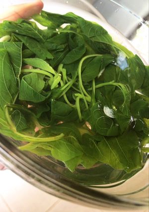 Foto resep Sayur Bening Bayam