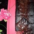 18. Brownies Haan