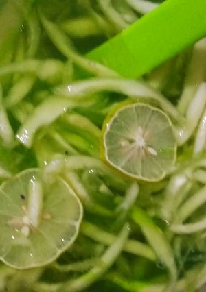 Foto resep Es melon jeruk nipis