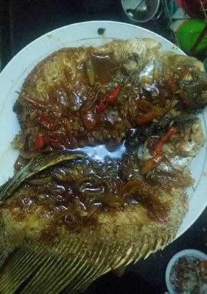 Foto resep Gurame saos tiram