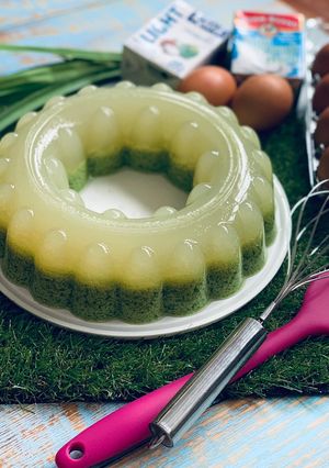 A picture of Moss Jelly (Agar Lumut).