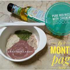 รูปของ Menu mpasi 6+ bulan #3