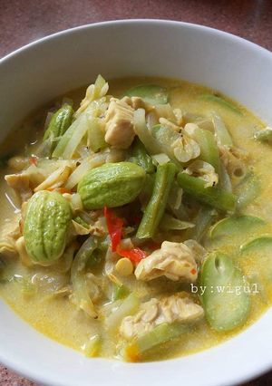 Foto resep Lodeh manisah,tempe,kacang panjang