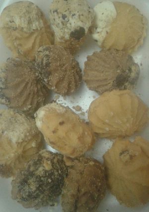 صورة لوصفة البيتي فور