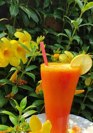 A picture of Orange Mocktail.