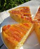 Bánh Chuối Nướng Nồi Cơm Điện