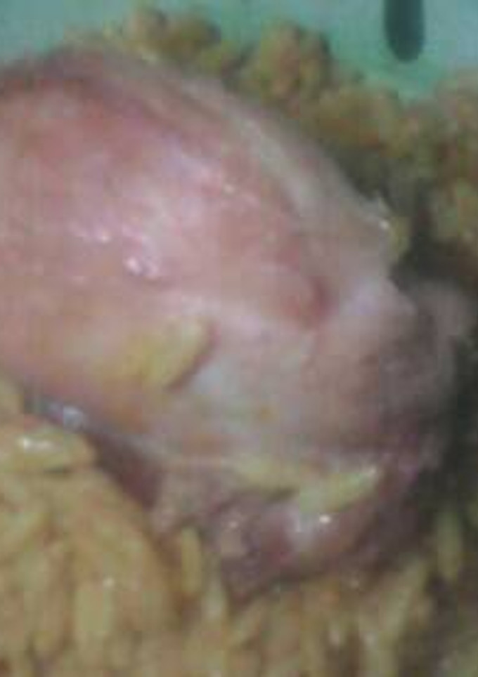 A picture of Jollof and chicken.