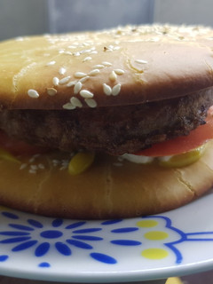 Una foto de Pan Tortuga sin gluten (como para hamburguesas)