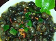 Gambar kraca keong ramadhan