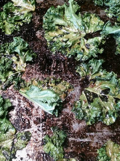 A picture of Kale chips.