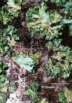 A picture of Kale chips.