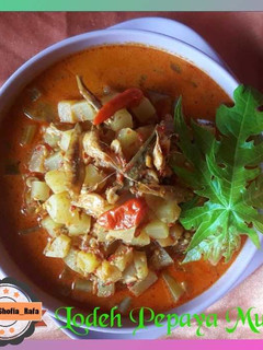 Foto resep Lodeh Pepaya Muda