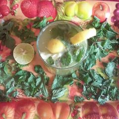 A picture of Mojito.