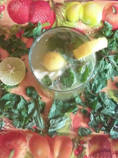 A picture of Mojito.