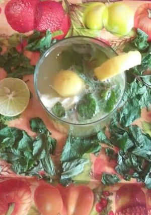 A picture of Mojito.