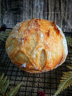 Foto resep Sourdough Rustic Bread / Country Bread