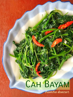 Foto resep Cah Bayam Bumbu Kencur
