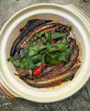 Cá kèo kho rau răm