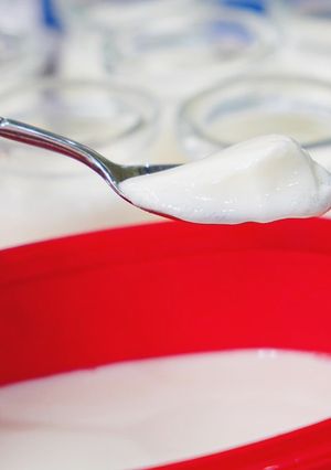 Hình của món Sữa chua dẻo.