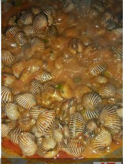 Foto resep Kerang dara saus padang
