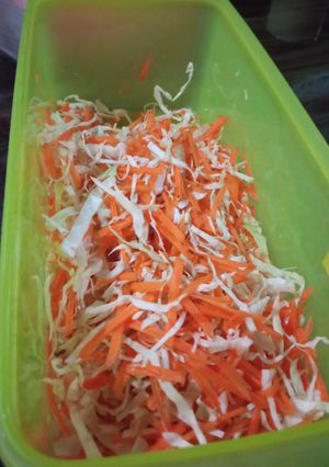 Foto resep Acar sederhana (kol dan wortel)