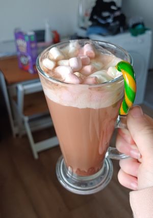 A picture of Candy cane no milk hot chocolate.