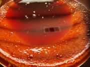 A picture of condensed milk flan