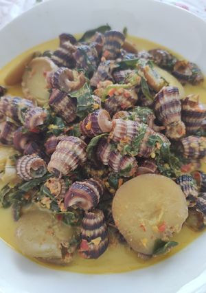 Foto resep Siput sedut gulai daun ubi dan jengkol