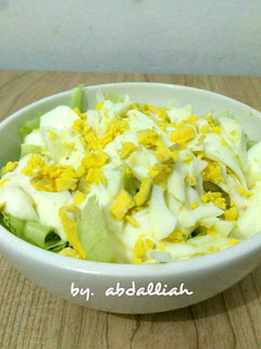 Foto resep #08 Salad Sayur