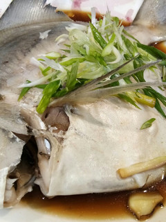 A picture of Steamed White Pomfret in Superior Soy Sauce.
