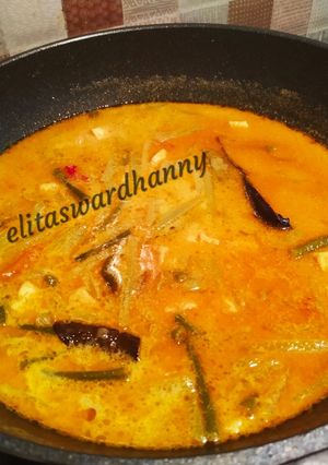Foto resep Sayur Lodeh Manisa #2