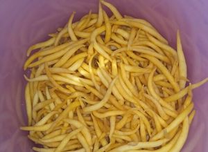 Foto resep Cheese Stick Ascaris Lumbricoides / Telur Gabus Keju / Kue daki