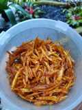 Kentang Mustofa