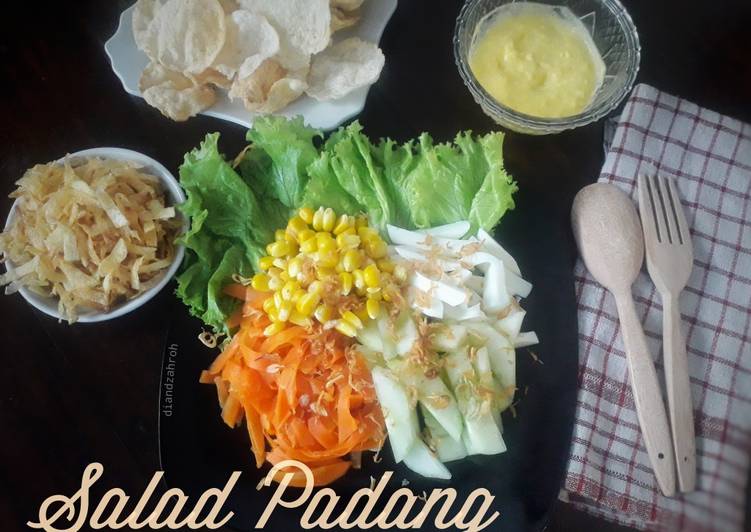 Panduan Menyiapkan Salad Padang / Salada Minang Enak