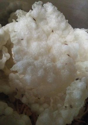 A picture of Baked Sabudana Papad.