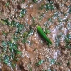 A picture of Restaurant Style Keema Karahi.