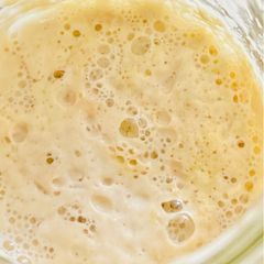 Sourdough Starter A picture of Sourdough Starter.