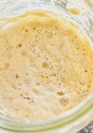 A picture of Sourdough Starter.