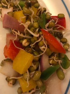 A picture of Sprouts chat.