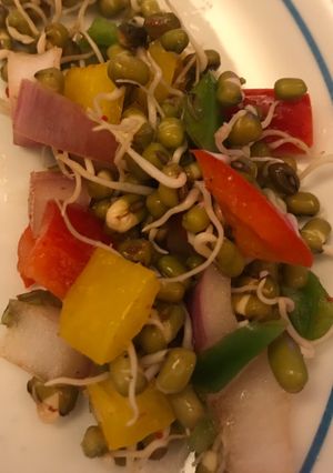 A picture of Sprouts chat.