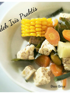 Foto resep Sayur Lodeh Iris Praktis