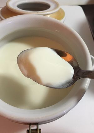 Una foto de Yogurt probiotico casero