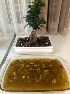 عکسی از دستور حلوای مسقطی