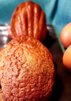 Une photo de Madeleines legeres au cacao