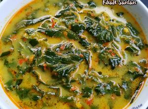 Foto resep Sayur Daun Singkong Kuah Santan Sedap