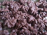 Semprit Coklat