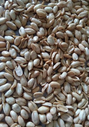 Foto resep Kacang Klicen Gurih