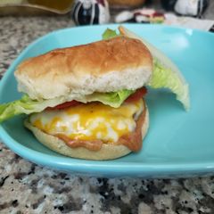 A picture of Burger sandwich 🍔.